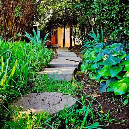 Bird Haven Guesthouse Hlotse Екстериор снимка