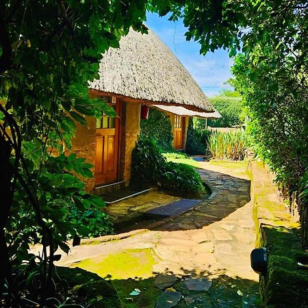 Bird Haven Guesthouse Hlotse Екстериор снимка